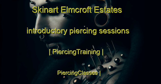 Skinart Elmcroft Estates introductory piercing sessions | PiercingTraining | PiercingClasses | SkinartTraining-United States